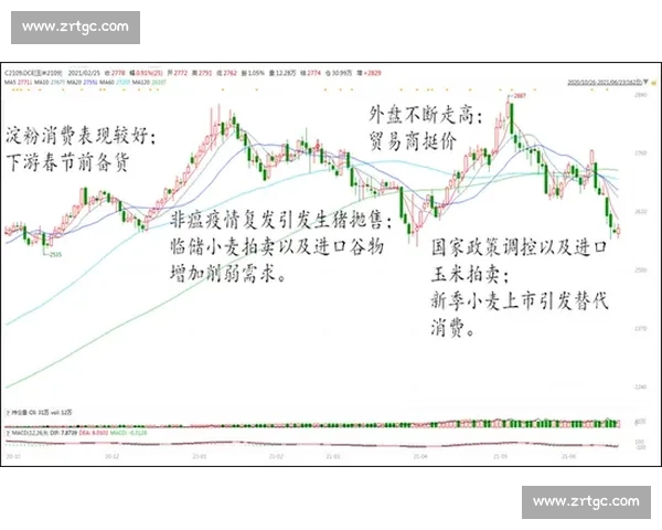 逆境中巧妙扭转乾坤实现局势全面反转的策略解析